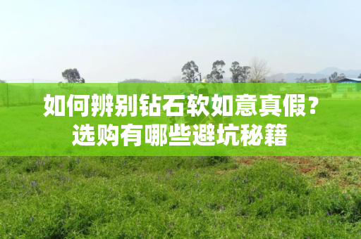 如何辨别钻石软如意真假？选购有哪些避坑秘籍